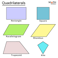 the various shapes that a polygon has