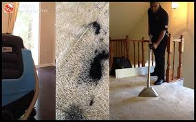 carpet cleaning charlotte sunbird