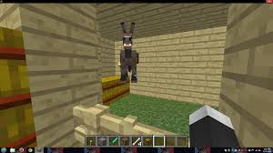 Multiple websites and databases have a good name list defining origin and meaning. Best Donkey Names Discussion Minecraft Java Edition Minecraft Forum Minecraft Forum