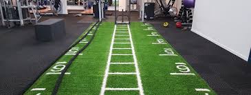 gym gr nz artificial turf for gyms