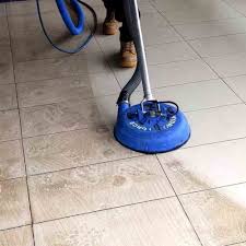 carpet cleaning in pasco county