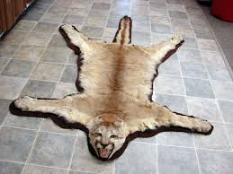 real mountain lion cougar taxidermy fur