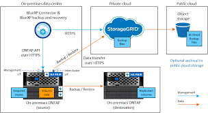 ontap data to storagegrid netapp