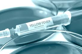 do we need yellow fever vaccination to