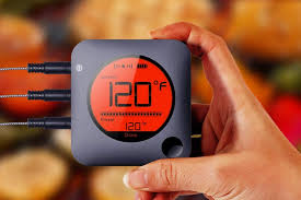 the best wireless meat thermometers for