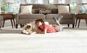 best carpet for pets the