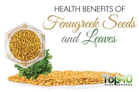 Fenugreek seeds are rich in protein, mineral matters, starch, sugars, mucilage, volatile oil, fixed oil, vitamins, enzymes and essential amino acids. Fenugreek Health Benefits And How To Eat It Emedihealth Fenugreek Benefits Fenugreek Seeds Fenugreek