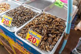 τηγανητά βρώσιμα έντομα για πώληση στην αγορά τσίλβα σε μια βόλτα στο  φουκέτ ταϊλάνδη Εκδοτική εικόνα - εικόνα από lifestyle: 205497910