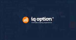 Iq Option Download For Pc A Beginners Guide
