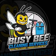 busy bee cleaning services