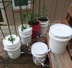5 gallon self watering tomato container