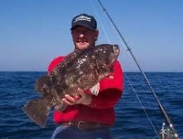 All About Tautog Blackfish