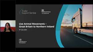 Northern Ireland Customs & Trade Academy gambar png