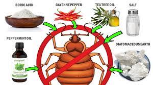 how to get rid of bed bugs naturally