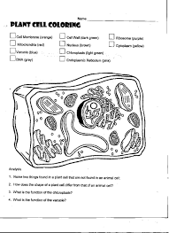 Plant cell structure and function. Plant Cell Worksheet The Classes At Town North