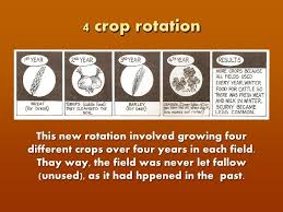 Crop Rotation Define Crop Rotation In Your Own Words On
