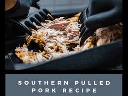 southern pulled pork recipe delishably