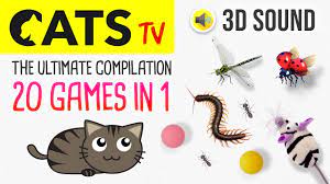 cats tv the ultimate games