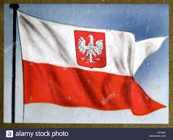 Resultado de imagem para Polonia dia da bandeira