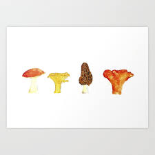 Pacific Northwest Edible Mushroom Chart Fungi Oil Painting Art Print