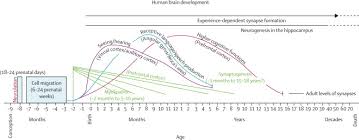 Developmental Potential In The First 5 Years For Children In