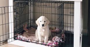 For many pet owners, a dog crate is an essential item but it lacks aesthetic appeal. Diy Dog Crate Popsugar Home