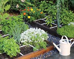 Square Foot Gardening The Pros Cons