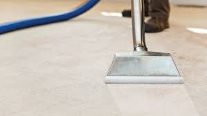 carpet cleaning maintenance services