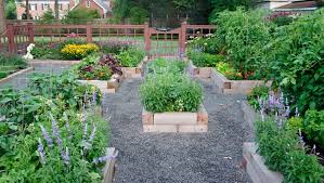 hire turn backyards into vegetable patches