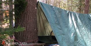 15 tarp shelter designs for simple
