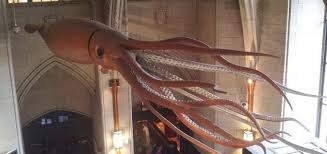 giant squid may grow larger than a