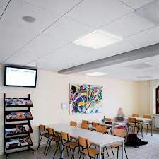 Ceiling Tiles For Schools Our Expert