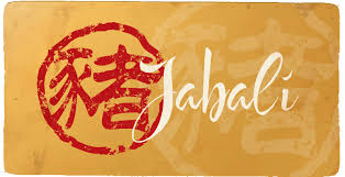Resultado de imagen para aÃ±o del jabali chino imagenes
