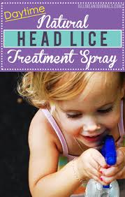 daytime natural head lice treatment