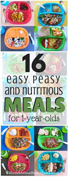 16 simple meals for your 1 year old