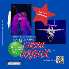 cirque joyeux holiday show matinee