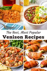 the best venison recipes for dinner