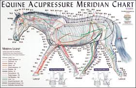 60 Abundant Acupressure Meridian Chart