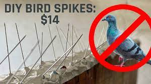 birds away with 14 diy bird spikes