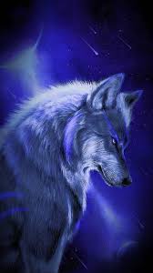 We have a massive amount of desktop and mobile backgrounds. Night Wolf Wallpapers Wallpaper Cave