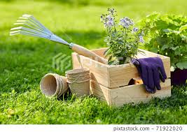 garden tools and flowers in wooden box