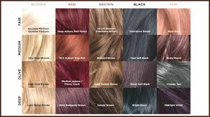 Hairstyles Burgundy Red Hair Color Delightful Chart 373558