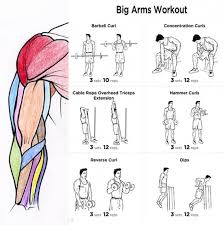 Big Arms Workout Plan Fitness Health Routine Bicep Tricep
