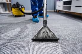 carpet cleaning why hire the pros