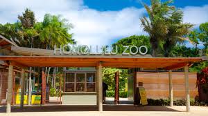 zoo department of enterprise services