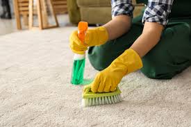 ways to remove urine smell from carpet