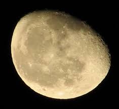 Image result for Moon Landing July 22, 2019, 8:07 pm