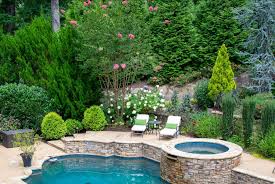 Plant Ideas For Your Pool Oasis