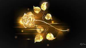 golden rose by madonna