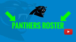 2019 Carolina Panthers Roster